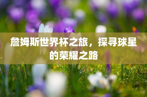 詹姆斯世界杯之旅，探寻球星的荣耀之路漯河市盈旭机械设备有限公司