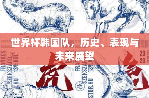 世界杯韩国队，历史、表现与未来展望