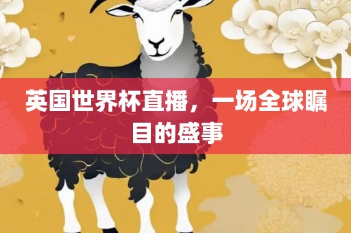 英国世界杯直播，一场全球瞩目的盛事