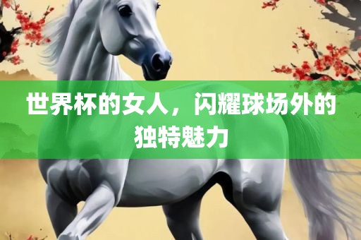 世界杯的女人，闪耀球场外的独特魅力漯河市盈旭机械设备有限公司