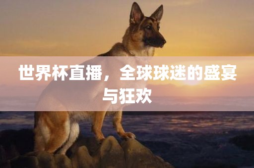 世界杯直播，全球球迷的盛宴与狂欢漯河市盈旭机械设备有限公司