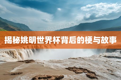 揭秘姚明世界杯背后的梗与故事