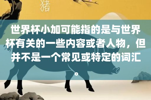 世界杯小加可能指的是与世界杯有关的一些内容或者人物，但并不是一个常见或特定的词汇。