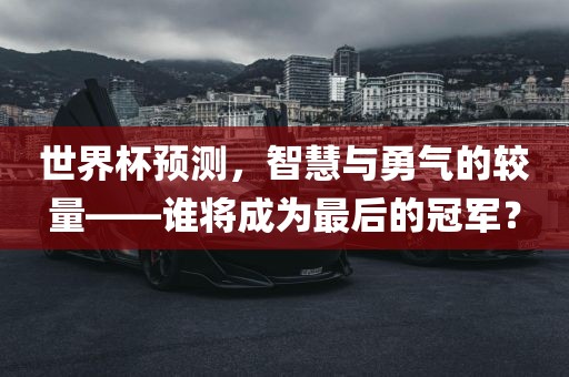 世界杯预测，智慧与勇气的较量——谁将成为最后的冠军？