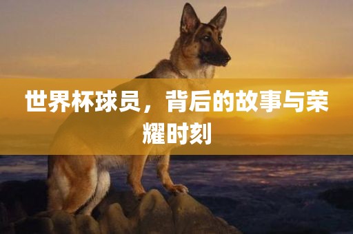 世界杯球员，背后的故事与荣耀时刻漯河市盈旭机械设备有限公司