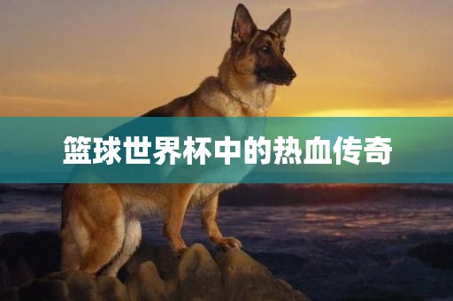 篮球世界杯中的热血传奇