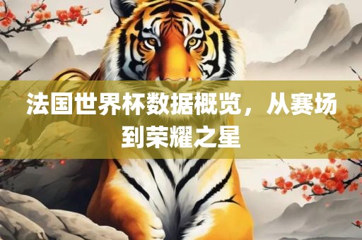 法国世界杯数据概览，从赛场到荣耀之星