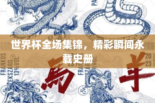 世界杯全场集锦，精彩瞬间永载史册