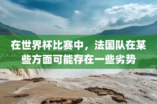 在世界杯比赛中，法国队在某些方面可能存在一些劣势漯河市盈旭机械设备有限公司
