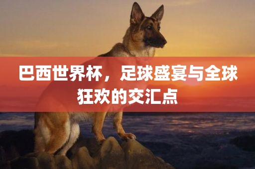 巴西世界杯，足球盛宴与全球狂欢的交汇点漯河市盈旭机械设备有限公司