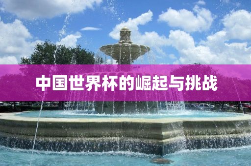 中国世界杯的崛起与挑战漯河市盈旭机械设备有限公司