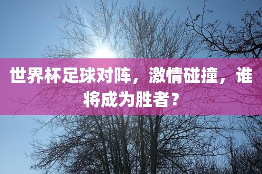 世界杯足球对阵，激情碰撞，谁将成为胜者？