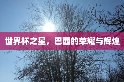 世界杯之星，巴西的荣耀与辉煌漯河市盈旭机械设备有限公司