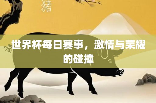 世界杯每日赛事，激情与荣耀的碰撞