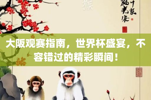大阪观赛指南，世界杯盛宴，不容错过的精彩瞬间！