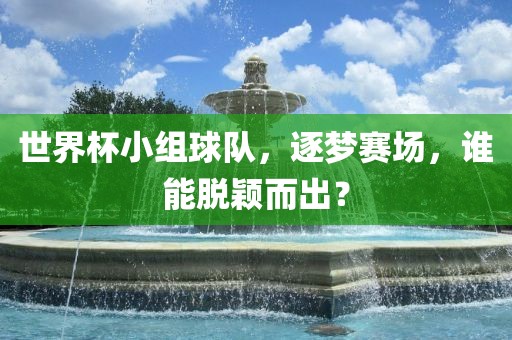 世界杯小组球队，逐梦赛场，谁能脱颖而出？