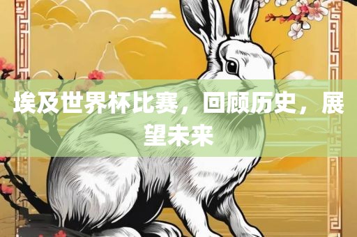 埃及世界杯比赛，回顾历史，展望未来