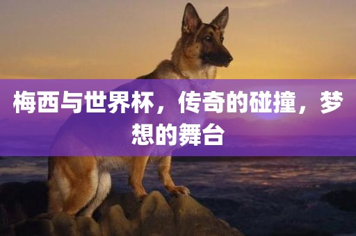 梅西与世界杯，传奇的碰撞，梦想的舞台