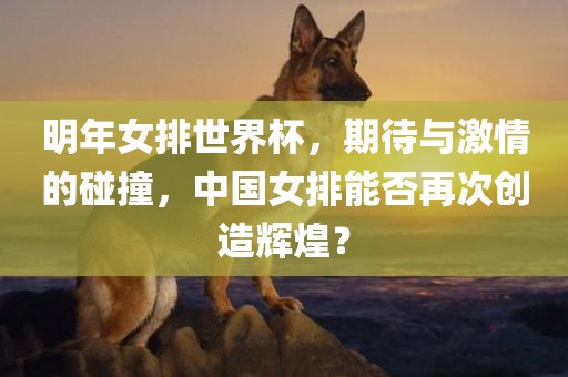 明年女排世界杯，期待与激情的碰撞，中国女排能否再次创造辉煌？