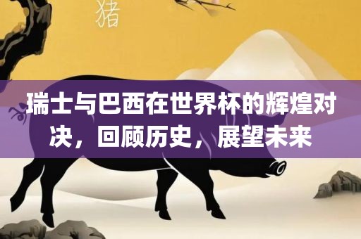 瑞士与巴西在世界杯的辉煌对决，回顾历史，展望未来