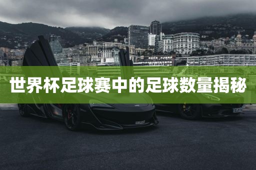 世界杯足球赛中的足球数量揭秘