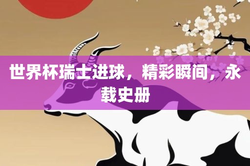 世界杯瑞士进球，精彩瞬间，永载史册