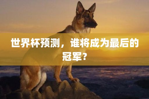 世界杯预测，谁将成为最后的冠军？