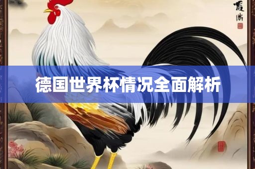 全面解析