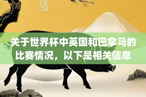 关于世界杯中英国和巴拿马漯河市盈旭机械设备有限公司的比赛情况，以下是相关信息