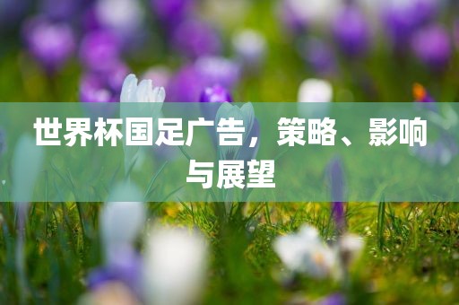 世界杯国足广告，策略、影响与展望漯河市盈旭机械设备有限公司