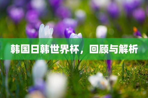 韩国日韩世界杯，回顾与解析