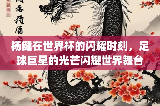 杨健在世界杯的闪耀时刻，足球巨星的光芒闪耀世界舞台漯河市盈旭机械设备有限公司