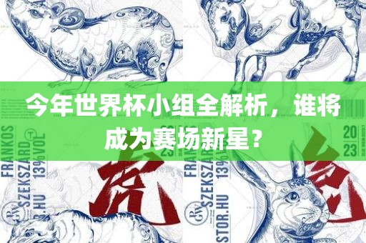 今年世界杯小组全解析，谁将成为赛场新星？