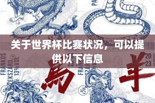 关于世界杯比赛状况，可以提供以下信息