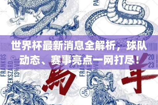 世界杯最新消息全解析，球队动态、赛事亮点一网打尽！漯河市盈旭机械设备有限公司