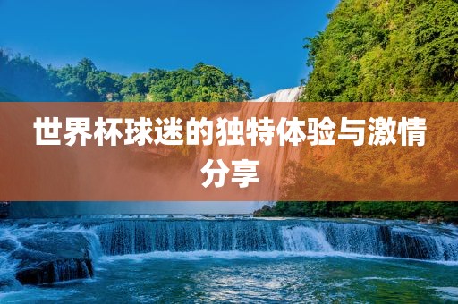 世界杯球迷的独特体验与激情分享