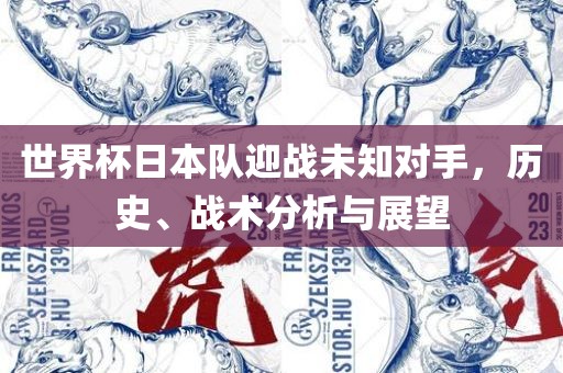 世界杯日本队迎战未知对手，历史、战术分析与展望