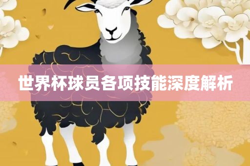世界杯球员各项技能深度解析