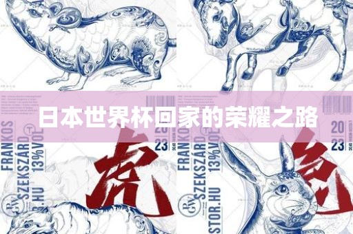 日本世界杯回家的荣耀之路