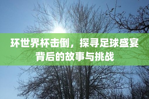 环世界杯击倒，探寻足球盛宴背后的故事与挑战