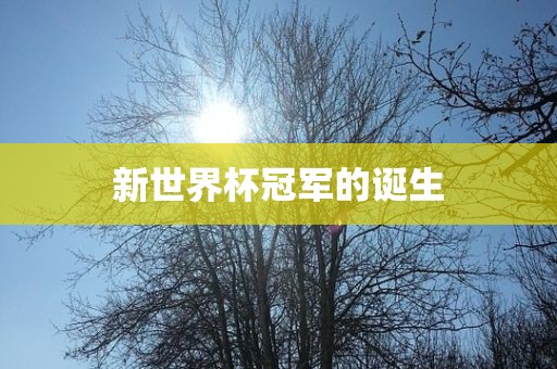 新世界杯冠军的诞生