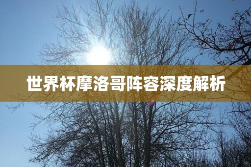 世界杯摩洛哥阵容深度解析