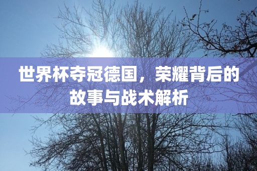 世界杯夺冠德国，荣耀背后的故事与战术解析