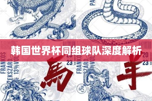 韩国世界杯同组球队深度解析
