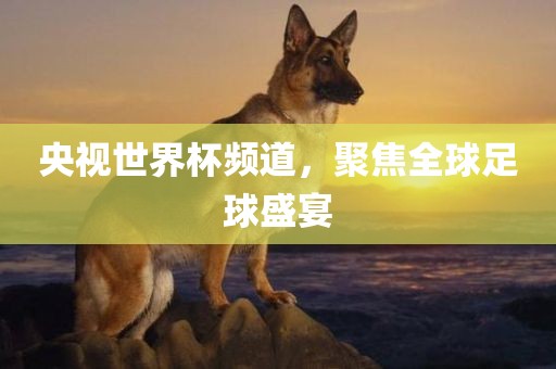 央视世界杯频道，聚焦全球足球盛宴