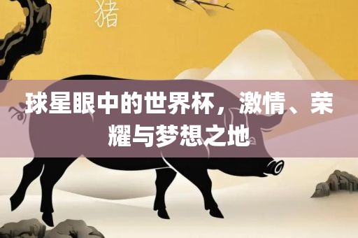 球星眼中的世界杯，激情、荣耀与梦想之地