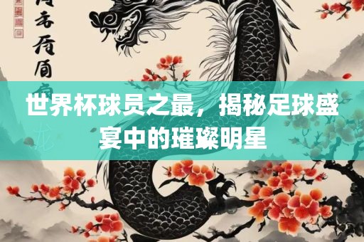 世界杯球员之最，揭秘足球盛宴中的璀璨明星