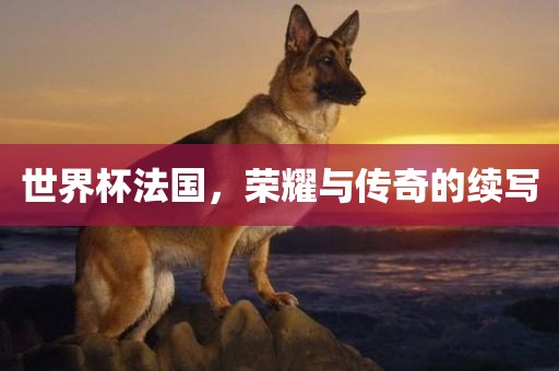 世界杯法国，荣耀与传奇的续写漯河市盈旭机械设备有限公司