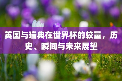 漯河市盈旭机械设备有限公司英国与瑞典在世界杯的较量，历史、瞬间与未来展望