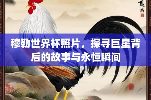 穆勒世界杯照片，探寻巨星背后的故事与永恒瞬间